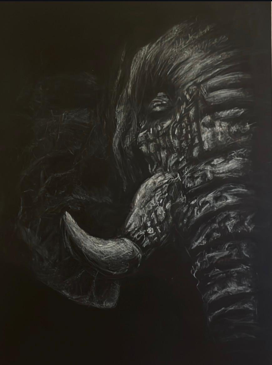 Commissions / Competitions