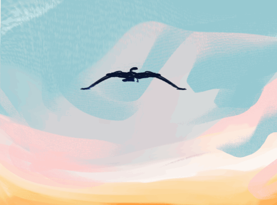 Bird by Brune Sabatier